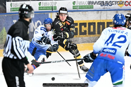 2024-11-23 Fassa Falcons-Mastini Varese 02979 Marco Matonti